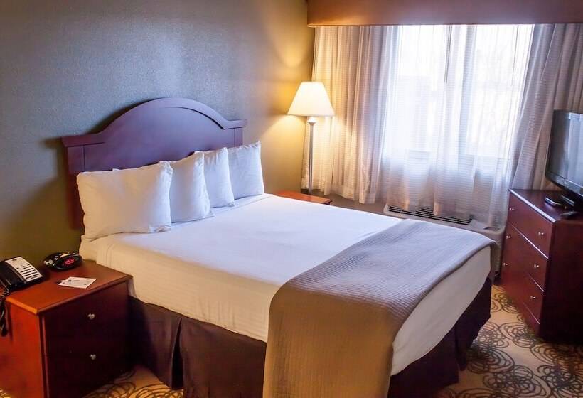 فندق Best Western Elko Inn