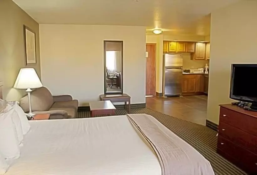 酒店 Best Western Elko Inn