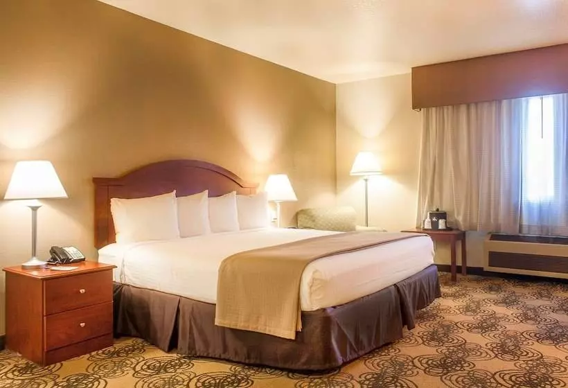 酒店 Best Western Elko Inn