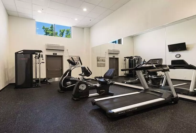 בית מלון כפרי Best Western Heritage Inn Chico