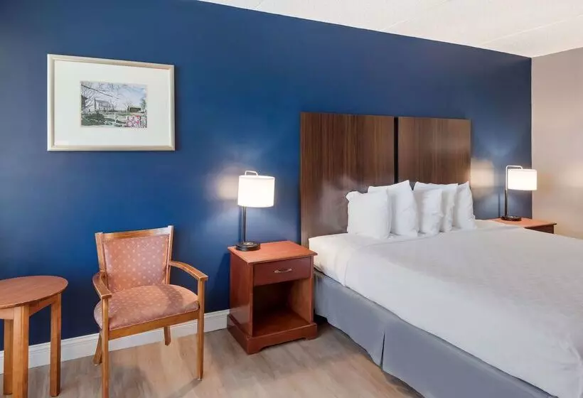 בית מלון כפרי Best Western Inn