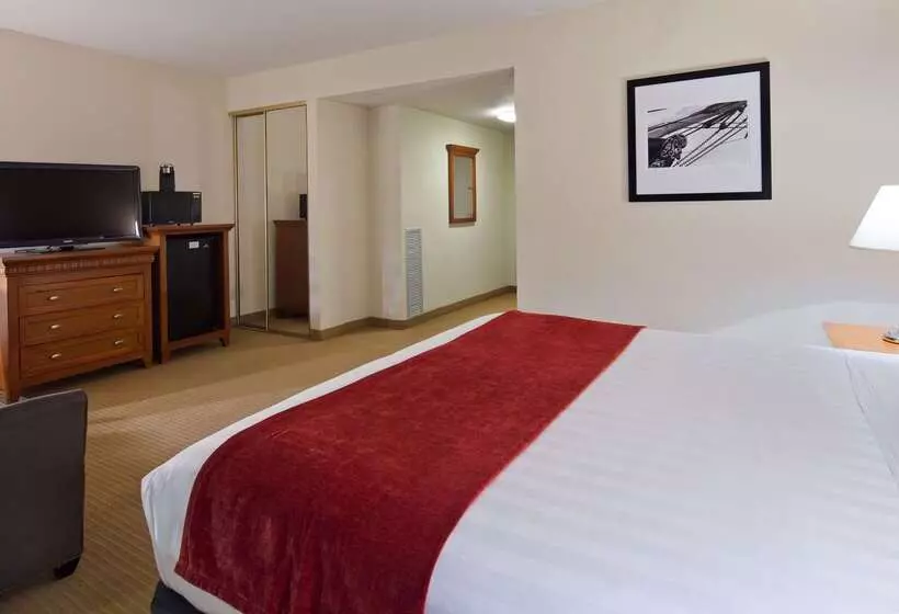 ホテル Best Western Plus Bayside Inn