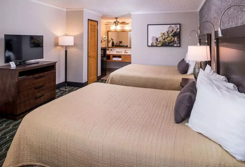 בית מלון כפרי Best Western Plus Black Oak