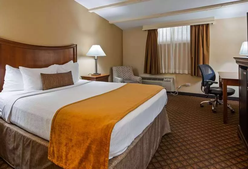 فندق Best Western Coach House