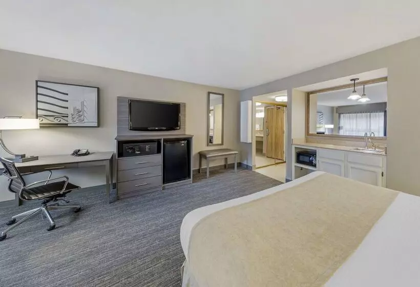 酒店 Best Western Plus Executive Inn