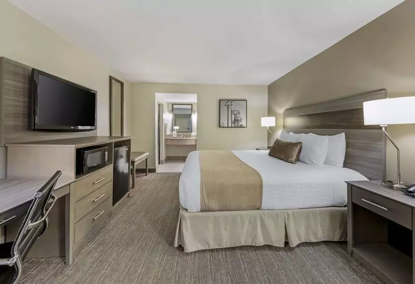 酒店 Best Western Plus Executive Inn