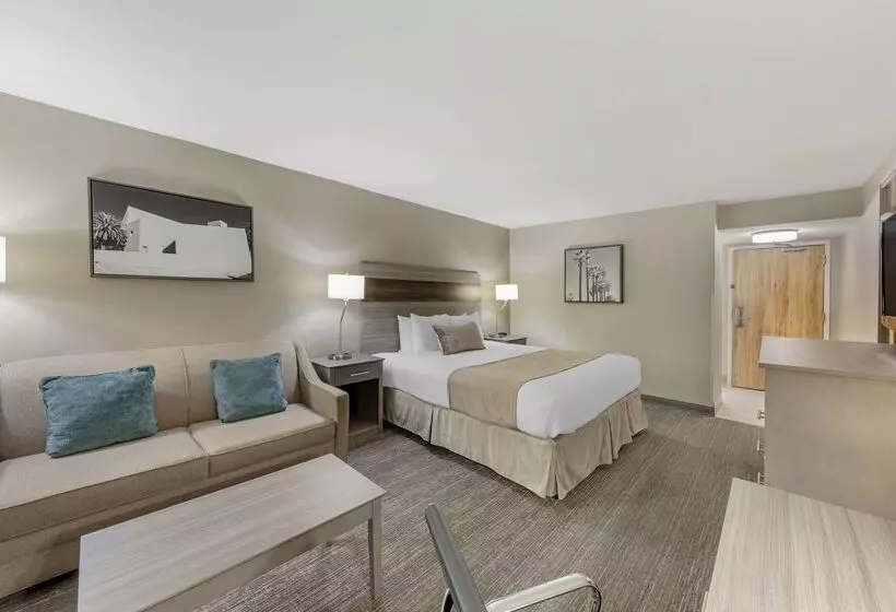 酒店 Best Western Plus Executive Inn