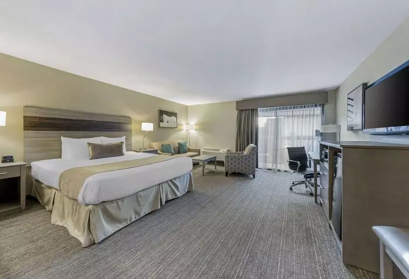 酒店 Best Western Plus Executive Inn