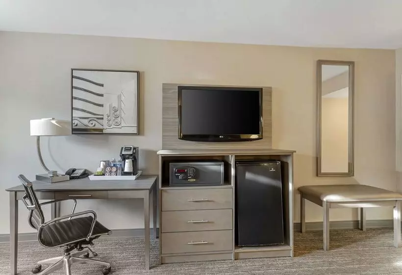 酒店 Best Western Plus Executive Inn