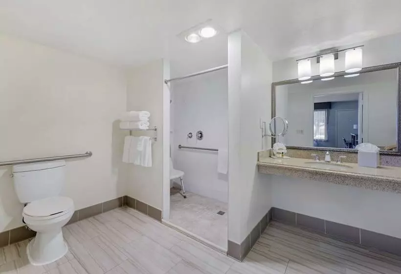 酒店 Best Western Plus Executive Inn