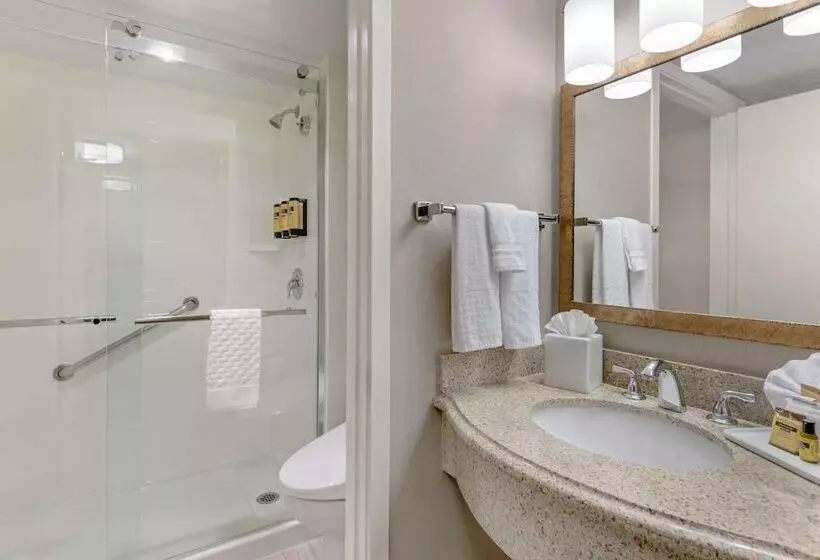 酒店 Best Western Plus Executive Inn