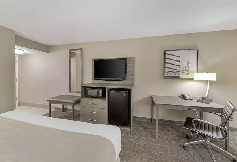 酒店 Best Western Plus Executive Inn