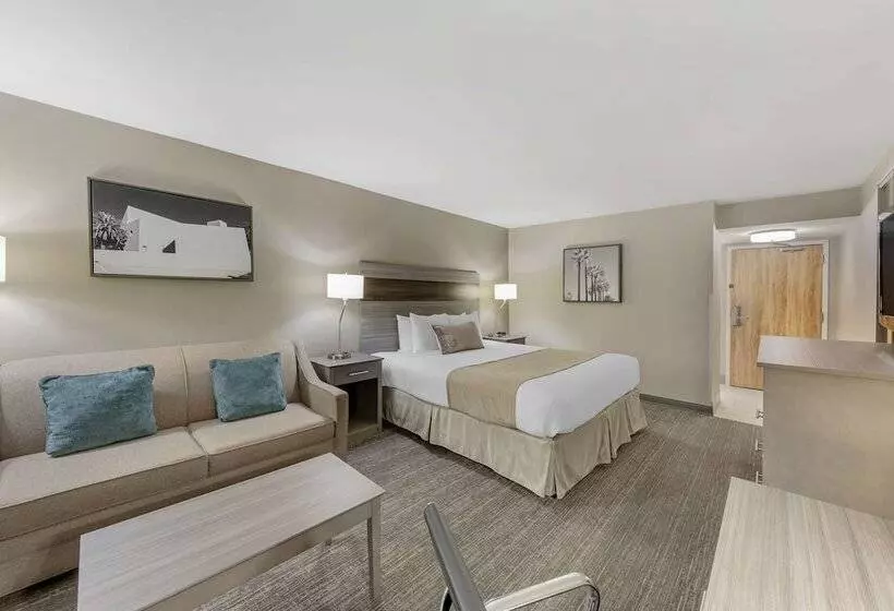 酒店 Best Western Plus Executive Inn