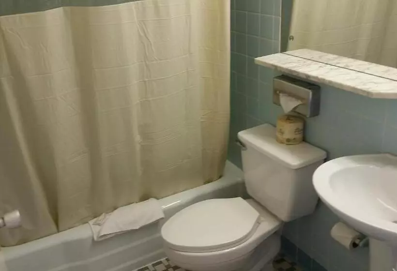 Отель Huntingdon Motor Inn