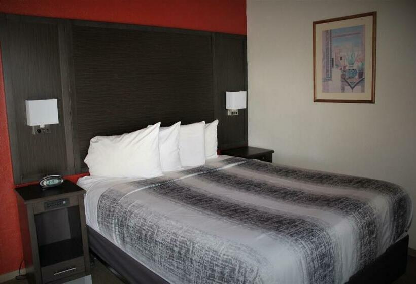 هتل Lamplighter Inn