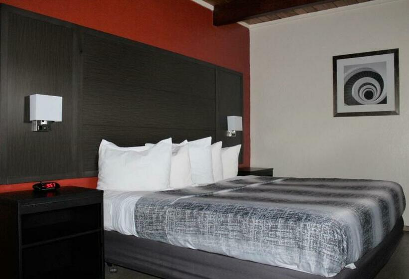 هتل Lamplighter Inn