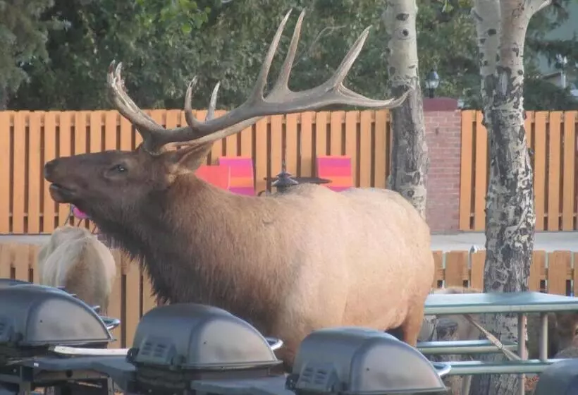 فندق Murphy's Resort