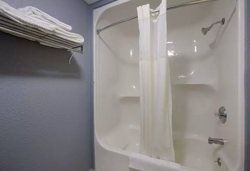 酒店 Quality Inn & Suites Big Rapids Near University