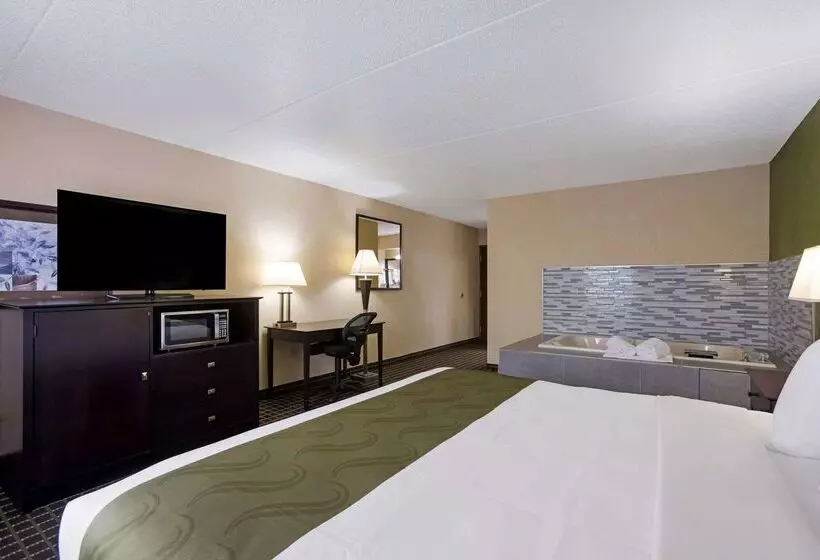 酒店 Quality Inn & Suites Big Rapids Near University