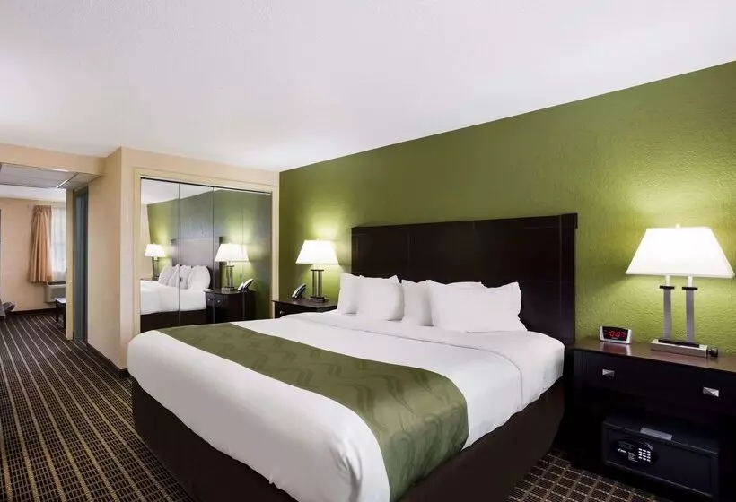 酒店 Quality Inn & Suites Big Rapids Near University
