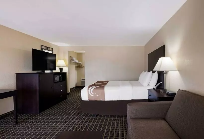 酒店 Quality Inn & Suites Big Rapids Near University