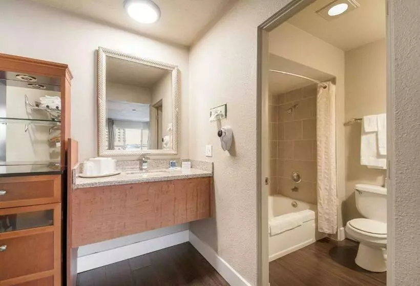 ホテル Rodeway Inn Portland Airport