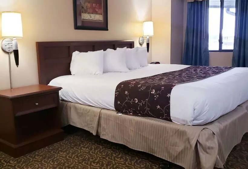 Surestay Plus Hotel By Best Western Black River Falls