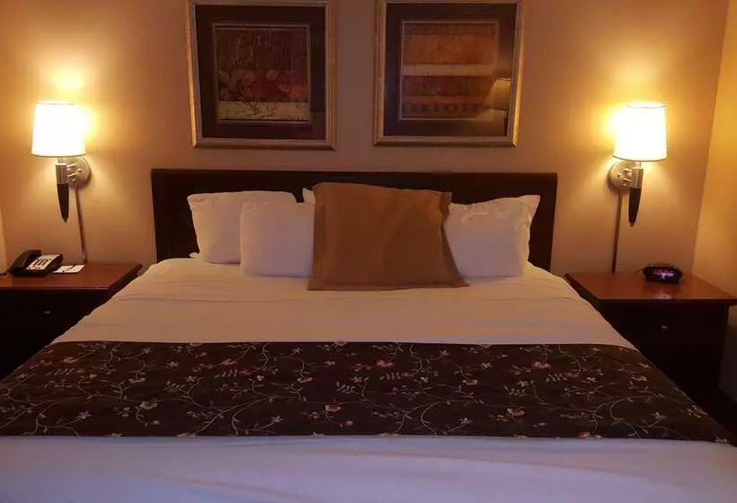 Surestay Plus Hotel By Best Western Black River Falls
