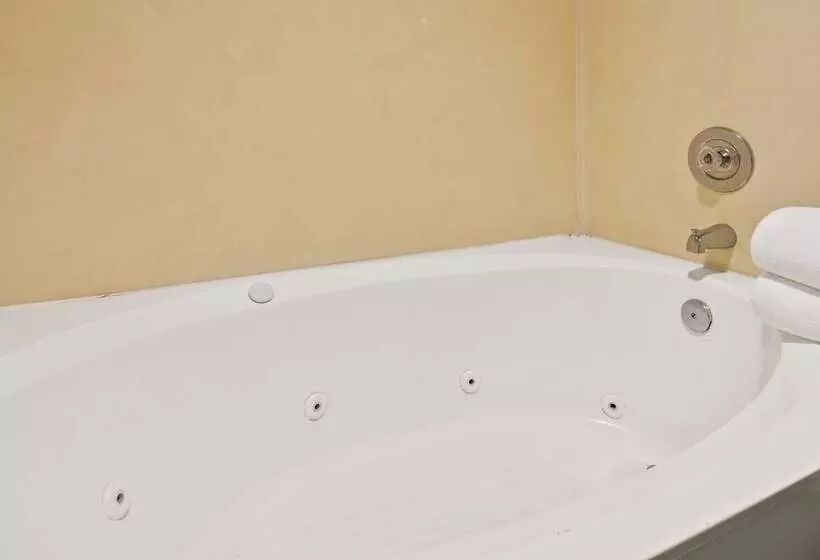 Hotel Best Western Executive Inn