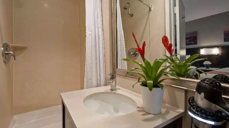 فندق Best Western Royal Palace Inn & Suites