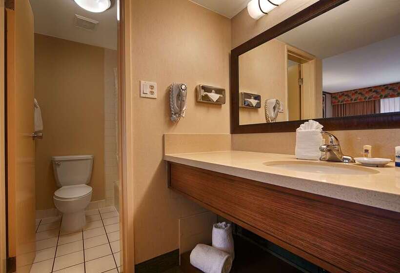 فندق Best Western Seven Seas