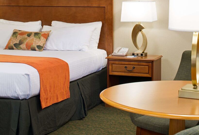 فندق Best Western Seven Seas