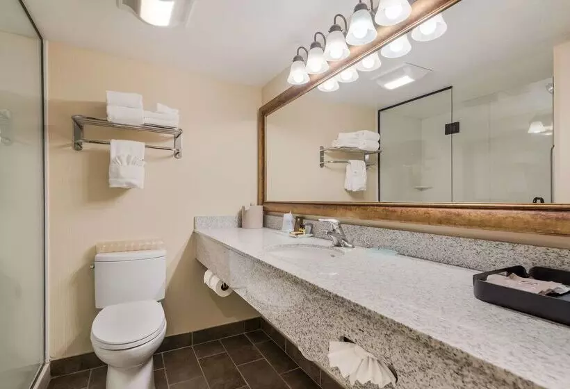 호텔 Best Western Town & Country Inn