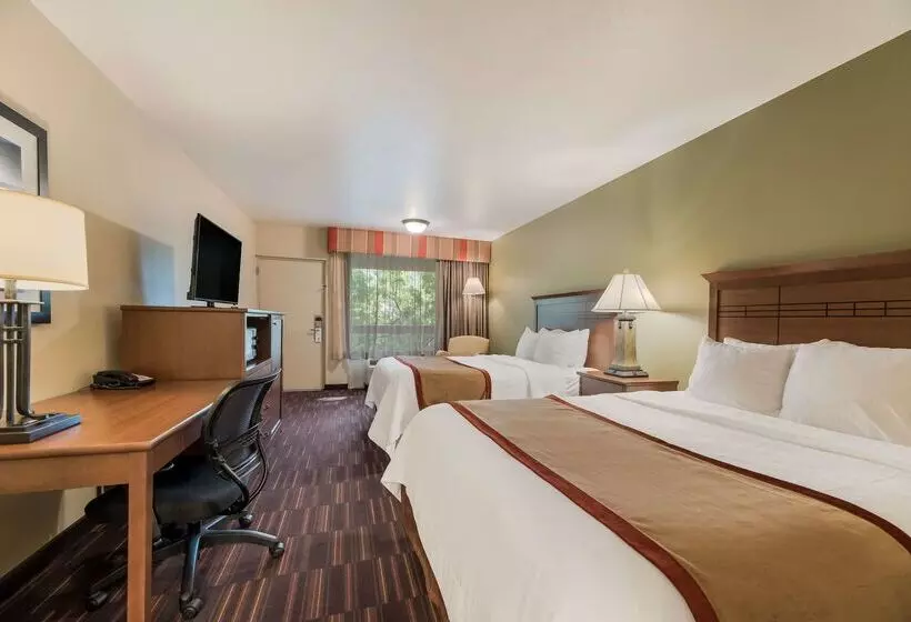 호텔 Best Western Town & Country Inn