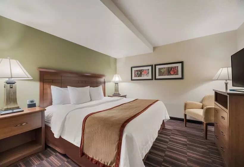 호텔 Best Western Town & Country Inn