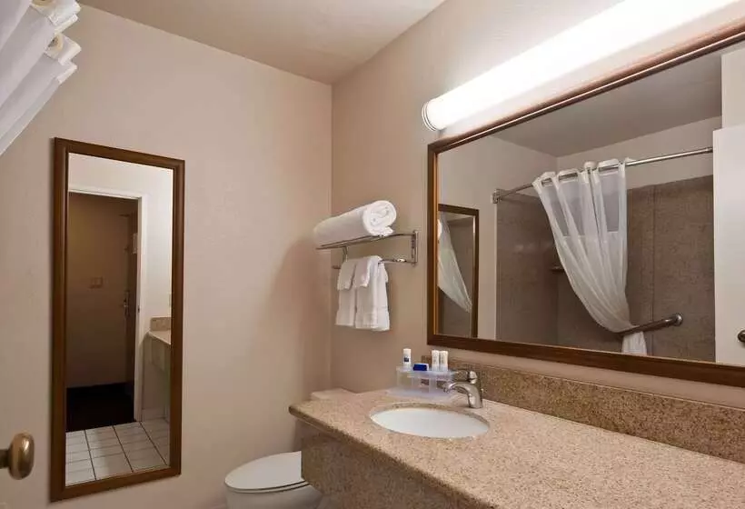 ホテル Best Western Village Inn