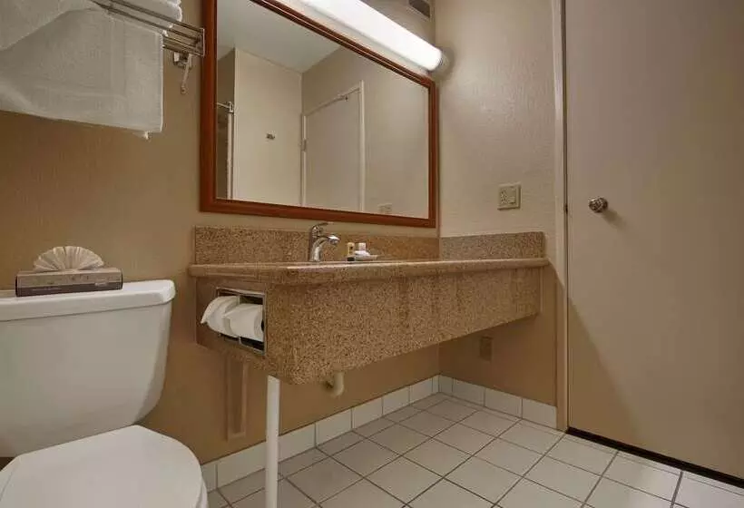 ホテル Best Western Village Inn