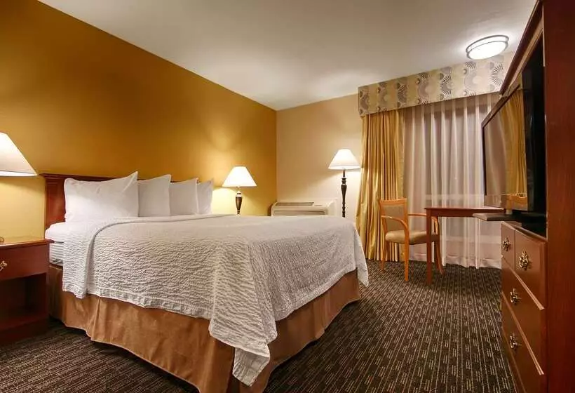 ホテル Best Western Village Inn