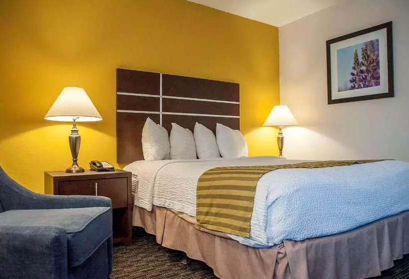 ホテル Best Western Village Inn