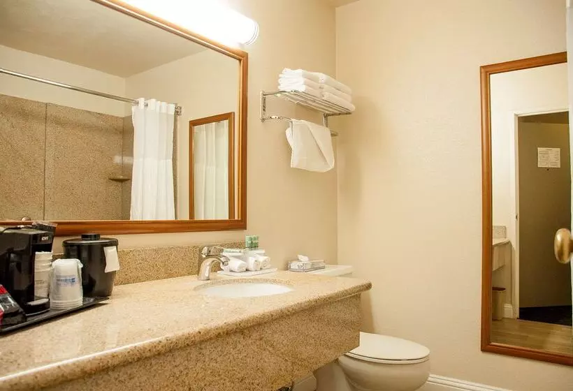 ホテル Best Western Village Inn