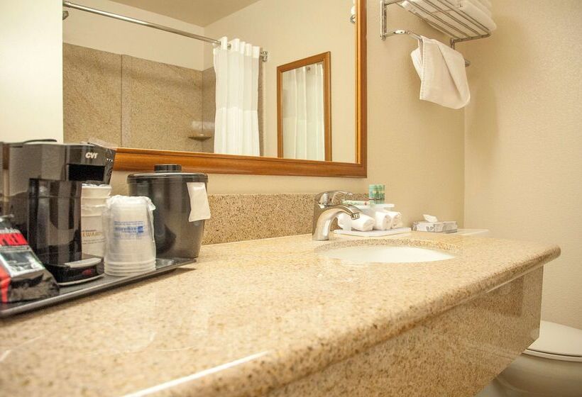 هتل Best Western Village Inn