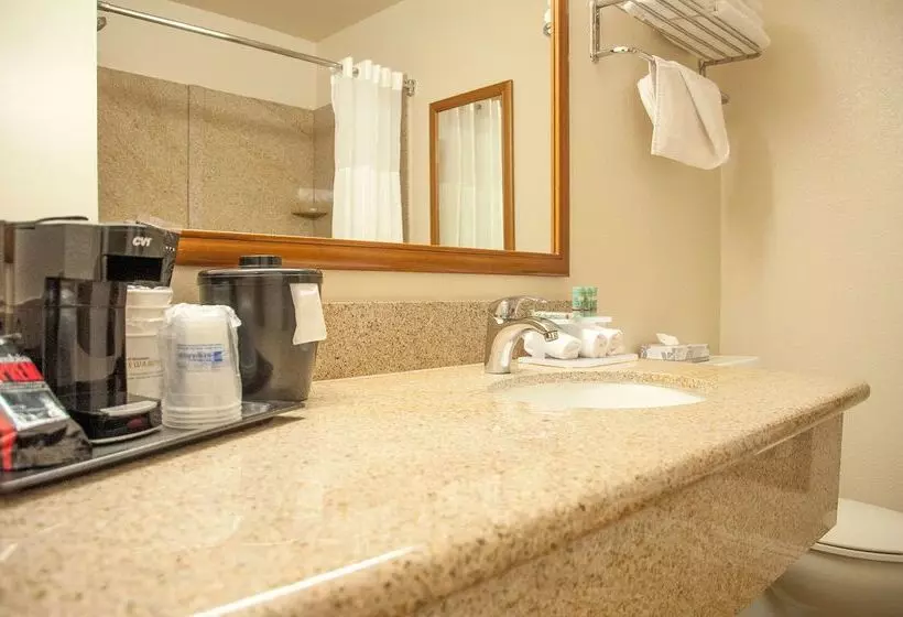 ホテル Best Western Village Inn