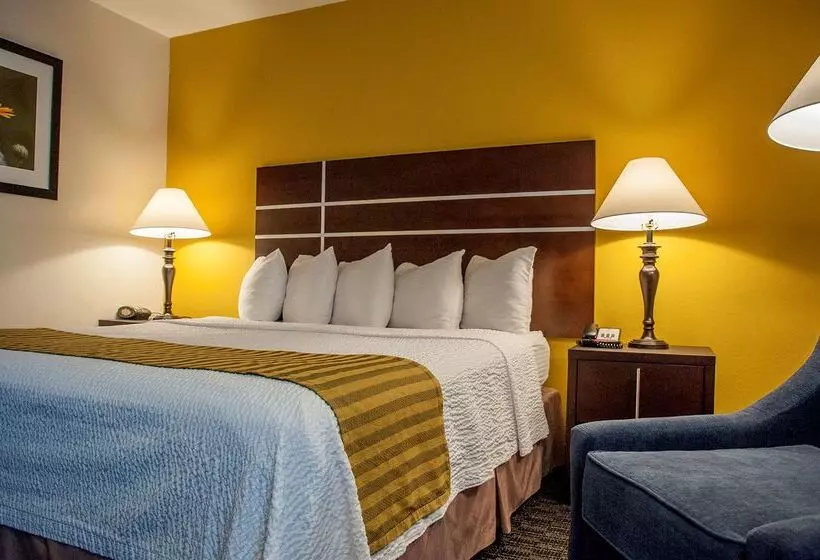 ホテル Best Western Village Inn