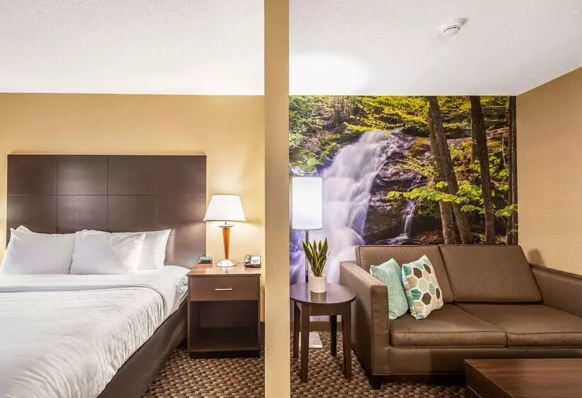 Отель Clarion Pointe Harrisonburg