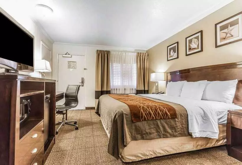 فندق Comfort Inn