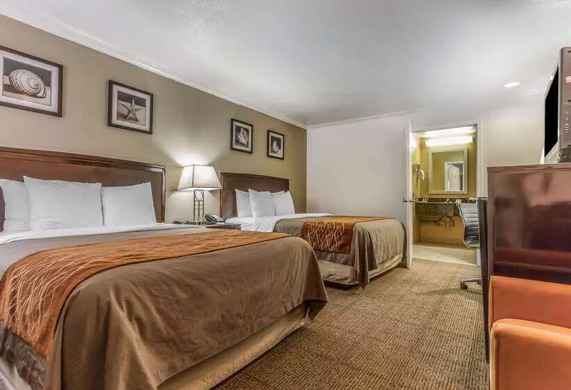 فندق Comfort Inn