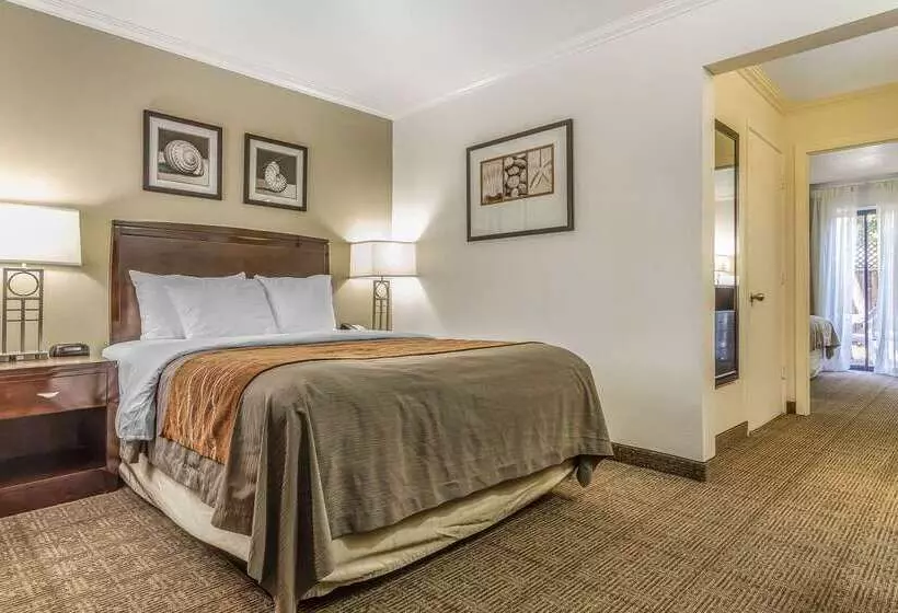 فندق Comfort Inn