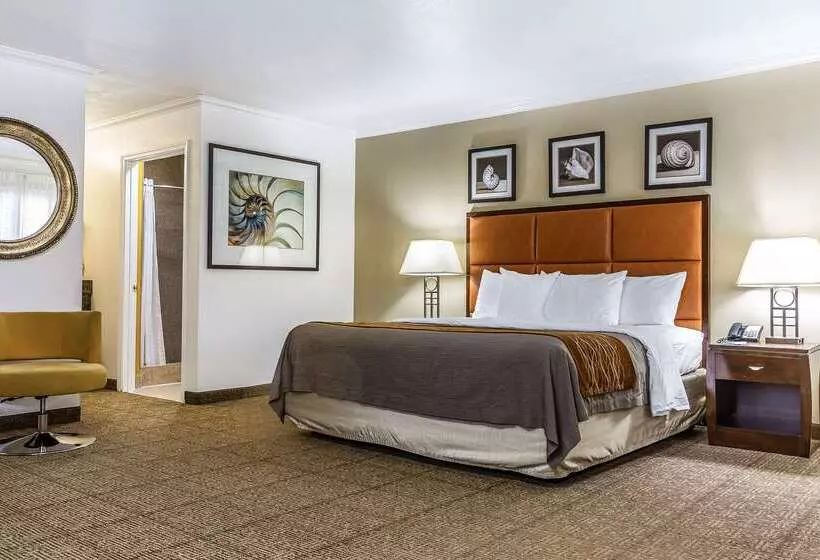 فندق Comfort Inn