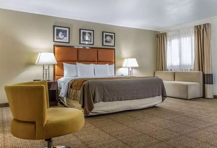 فندق Comfort Inn