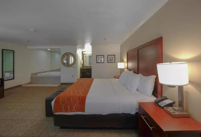 فندق Comfort Inn